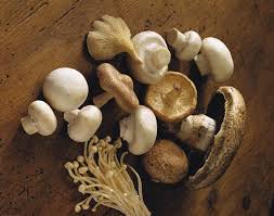recipe for mushroom risotto